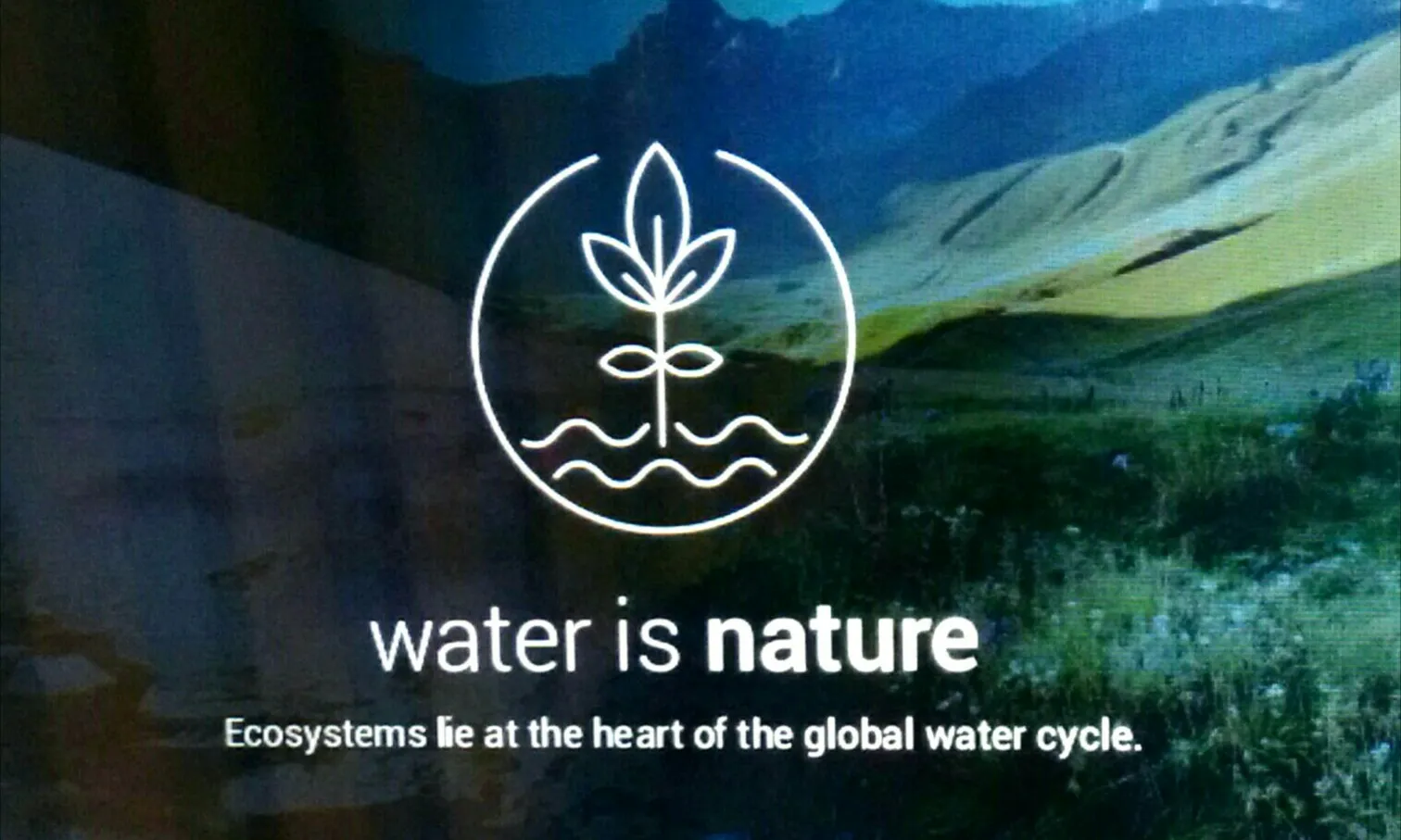 La relació aigua i naturalesa és directa (imatge:UNwater.org)