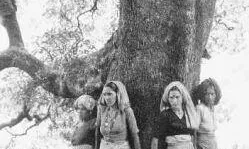 Les Dones Chipko, a l'India, protegint l'Himàlaia de la desforestació.
