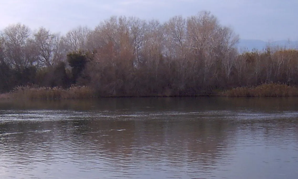 L'Ebre a Tortosa (imatge: flickr/DanielGil)