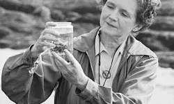 Rachel Carson, pionera en els estudis ambientals, que va denunciar els riscos del DDT
