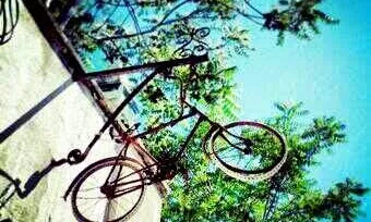 (imatge: Biciclot)