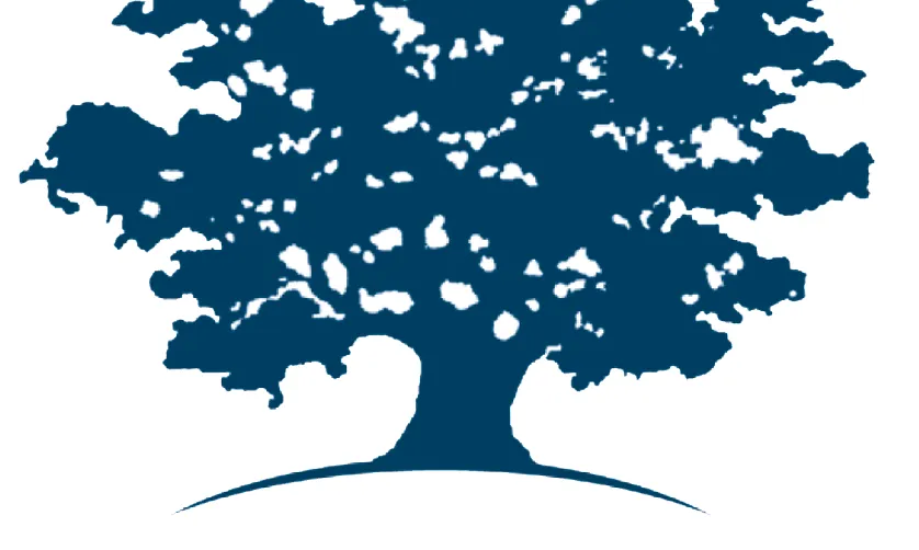 logo Ashoka