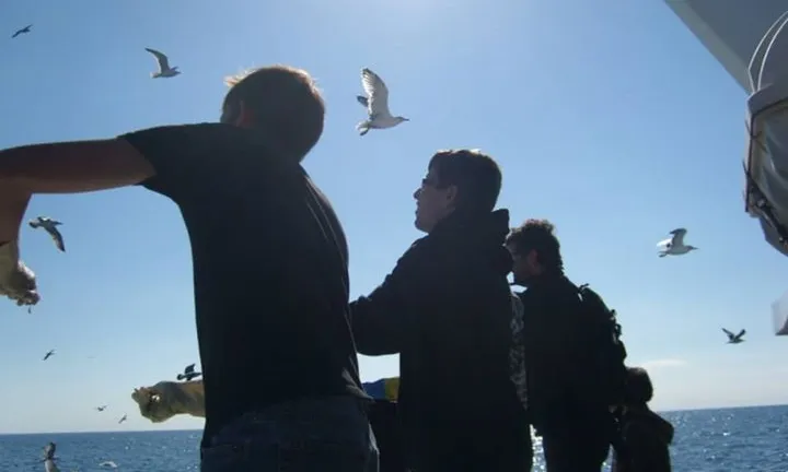 Sortida d'observació d'aus marines. Font: Facebook d'IAEDEN - Salvem l'Empordà
