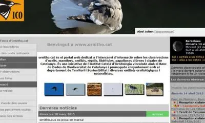 L'ICO promou "Ornitho" per recollir informació sobre la biodiversitat de fauna (imatge: ICO)