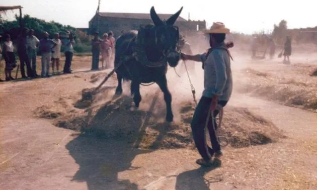 Festes del Segar i del Batre de La Fuliola