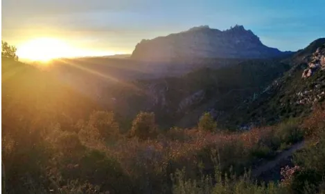 Espai Natura Puigventós (imatge: Fundació Catalunya-la Pedrera)