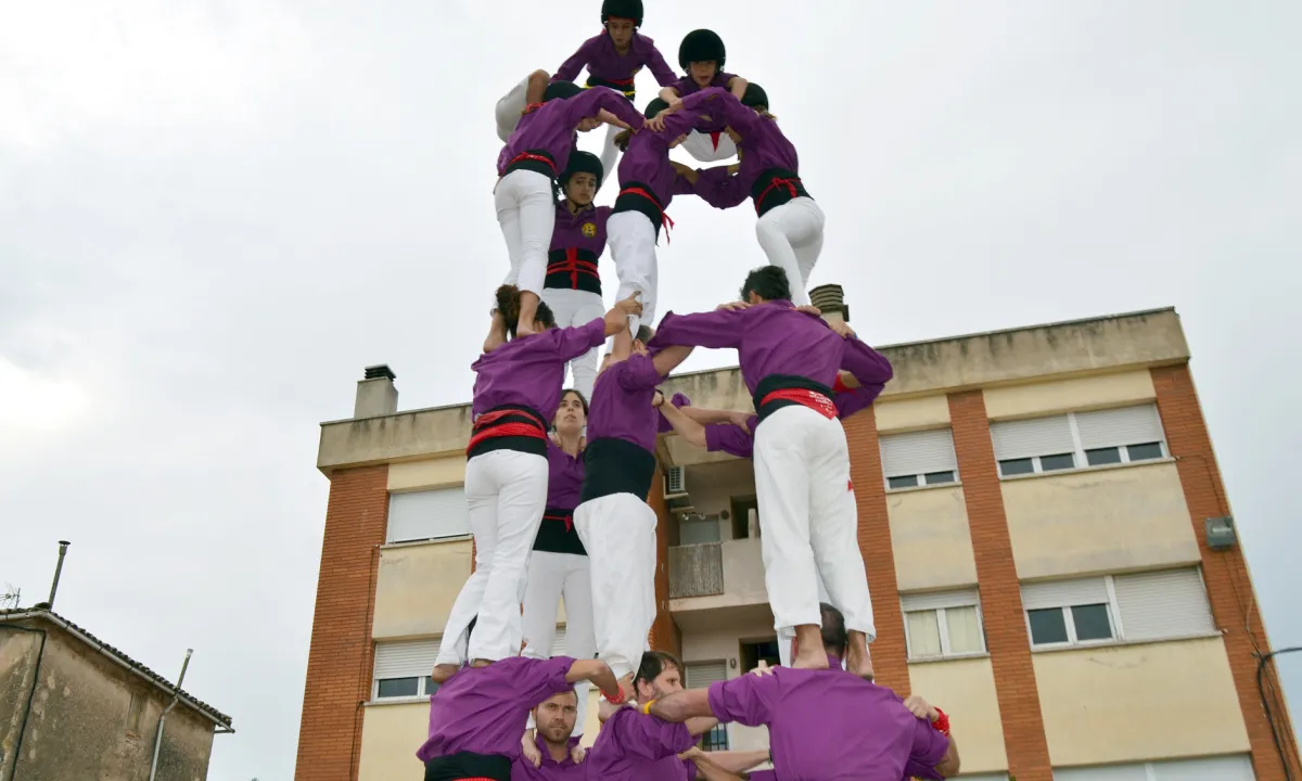 Un 5d6 dels Picapolls (Font: flickr.com)