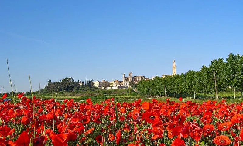 Paisatge de l'Arboç. Font: Wikimedia