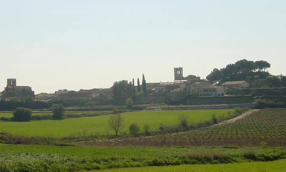 Paisatge de Banyeres del Penedès