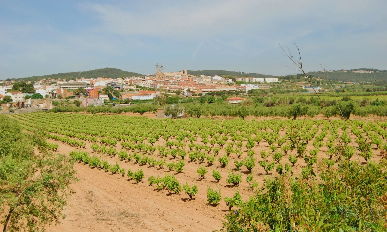 Vistes de Calafell. Font: Geven