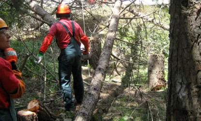 Activitats de la Fundació Santa Teresa. Font: Fundació Santa Teresa