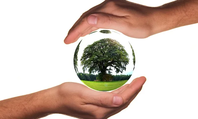 Imatge simbòlica de protecció del mediambient. Font: Pixabay