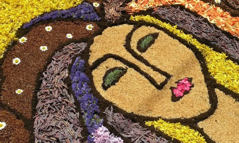 El mite de les dones d'aigua ha servit com a motiu per fer una catifa de flors