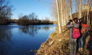 Grup de voluntariat ambiental durant el cens d'aus hivernants a l'Alt Ter (imatge: museudelter.cat)