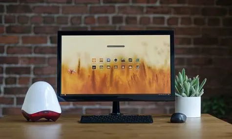 Endless ven micro-ordinadors a baix cost. 