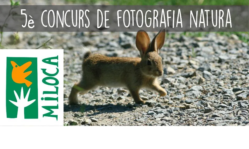 Miloca organitza el 5è concurs de fotografia de natura (imatge: miloca.org)