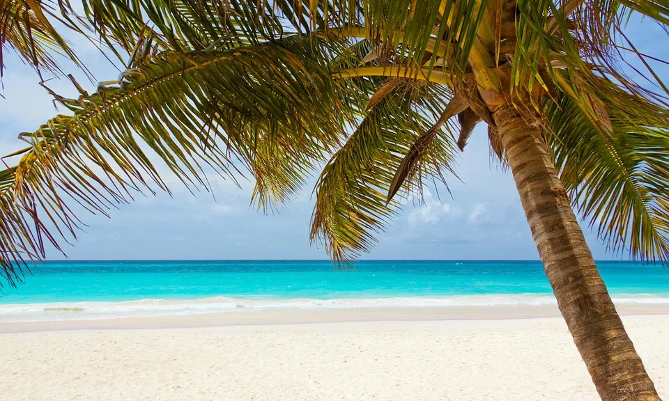 Imatge paradis. Font: Pixabay 