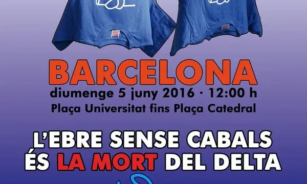 Cartell de la manifestació en defensa de l'Ebre del 5 de juny de 2016 (ebre.net)