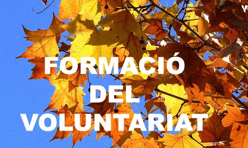 Formació del Voluntariat