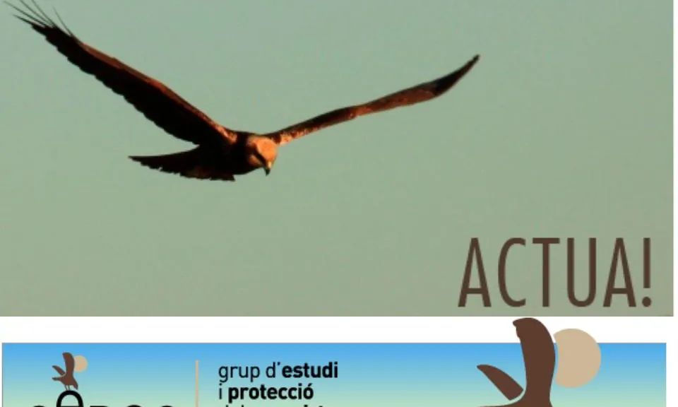 El Gepec fa una crida sol·licitant voluntaris i voluntàries a col·laborar amb l'entitat (imatge: gepec.cat)
