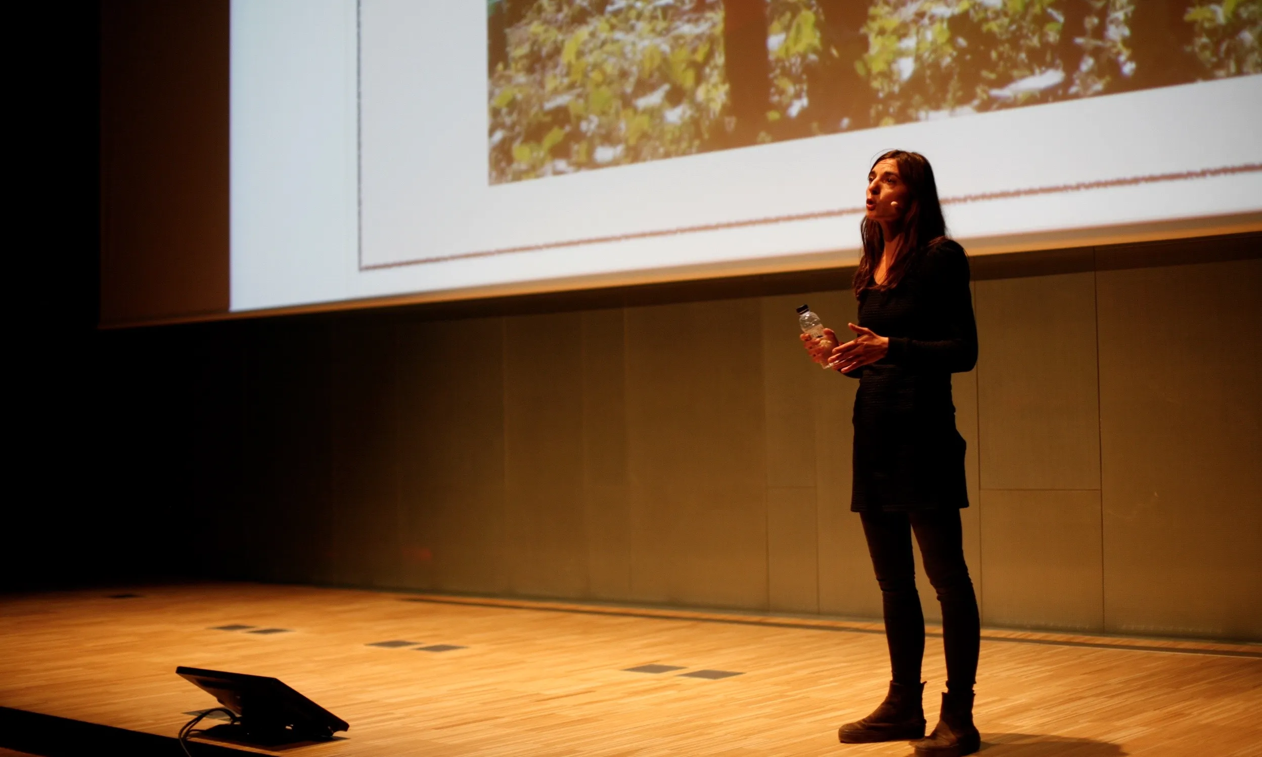 Mireia Barba va presentar el projecte contra el malbaratament alimentari  Espigoladors (imatge: flickr/barceloncentrededisseny)