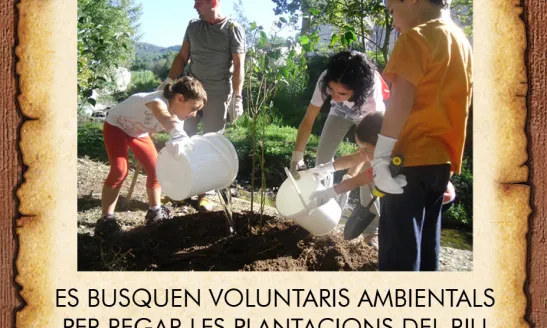 Es busquen voluntaris i voluntàries ambientals per l'estiu al riu Congost (imatges: Associació Habitats)