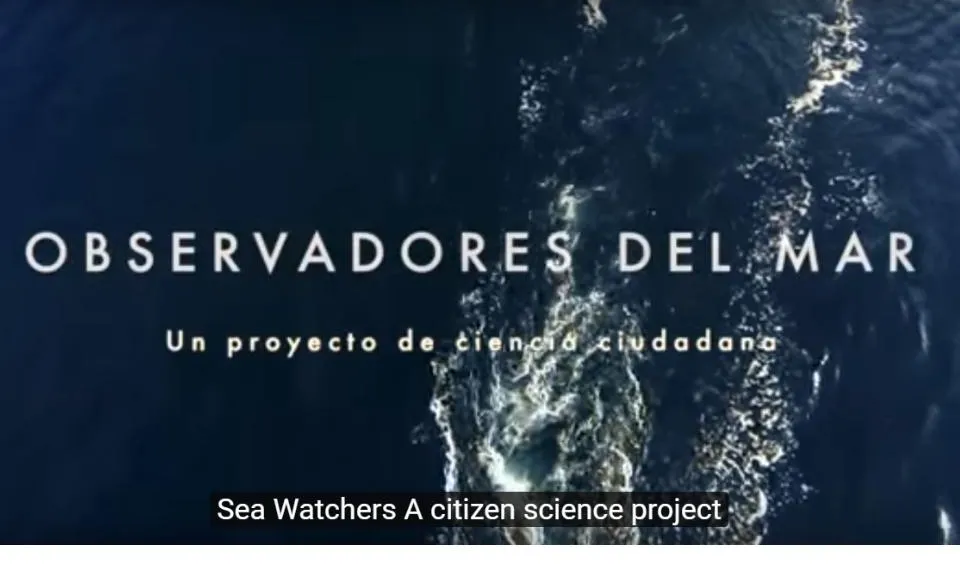 El portal Observadors del Mar ofereix la possibilitat de col·laborar en 12 projectes de ciència ciutadana (imatge: observadorsdelmar.cat)