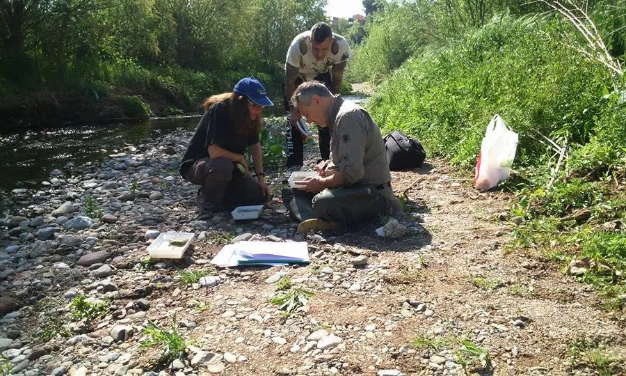 Amb el curs es pot conèixer diferents experiències de voluntariat ambiental a Catalunya (imatge: Associació Hàbitats)