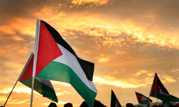 Bandera de Palestina. Font: Diego Sandoval, Flickr