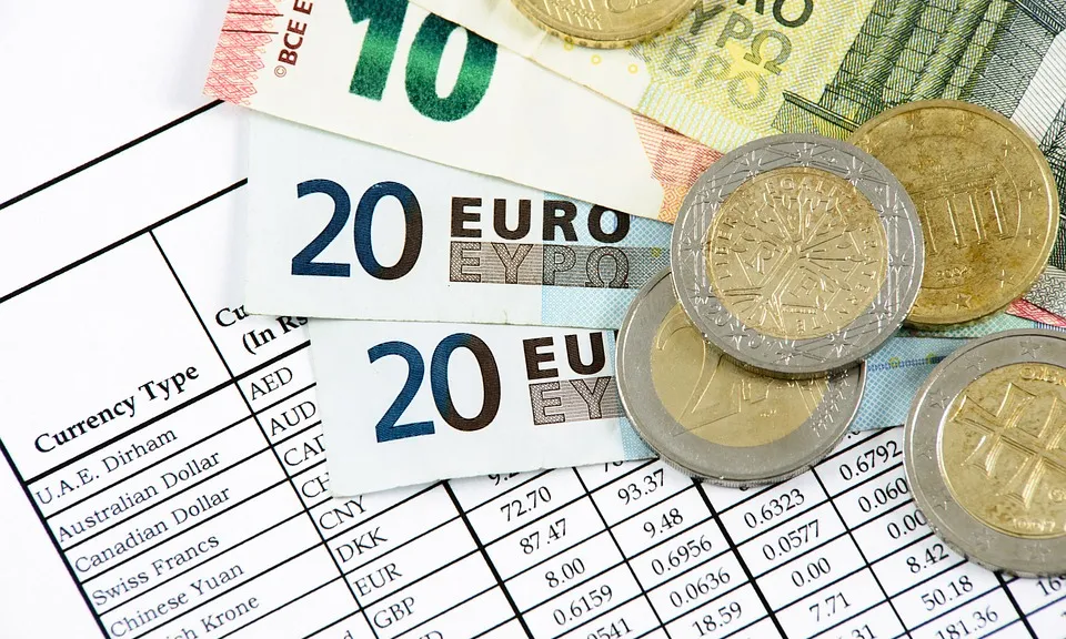 Bitllets i monedes d'euro. Font: Pixabay