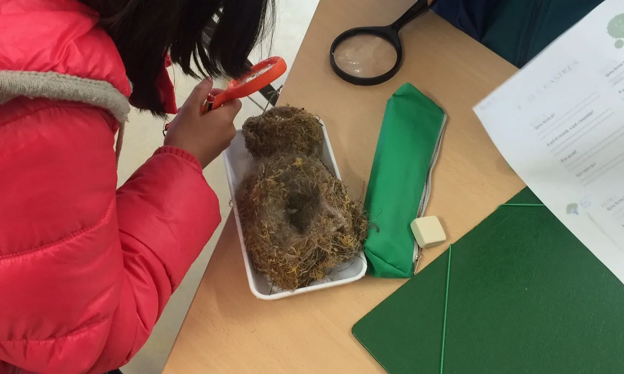 És un Laboratori de Natura / Foto: Aula Ambiental Bosc Turull