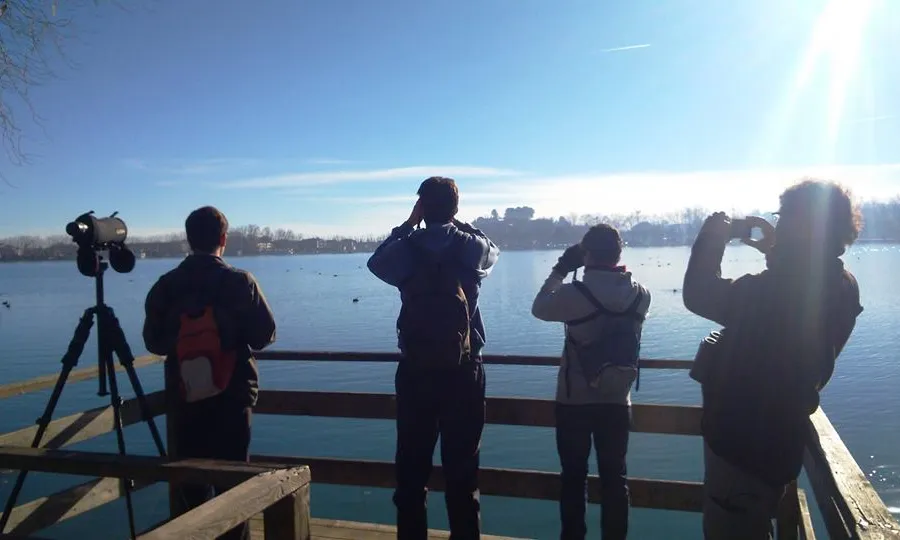 XXII Cens d’ocells aquàtics hivernants a l’Estany de Banyoles (imatge: Limnos)