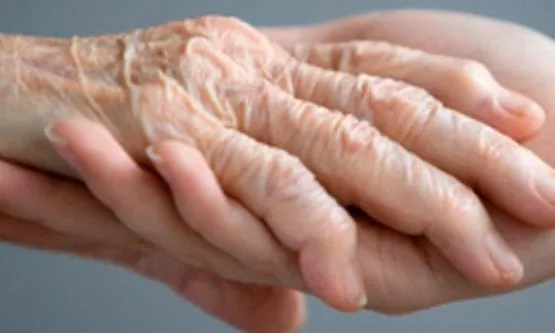 A Manresa hi ha més de 14.791 persones més grans de 65 anys, de les quals només el 16,5% són conegudes pels serveis socials municipals.