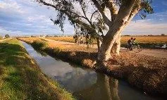 Diumenge 5 bicicletada als Ullals de Baltasar, al Delta de l'Ebre (imatge:  http://parcsnaturals.gencat.cat/es/delta-ebre)