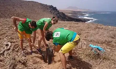 Voluntaris i voluntàries a l'illa de La Graciosa amb WWF (imatge: wwf )