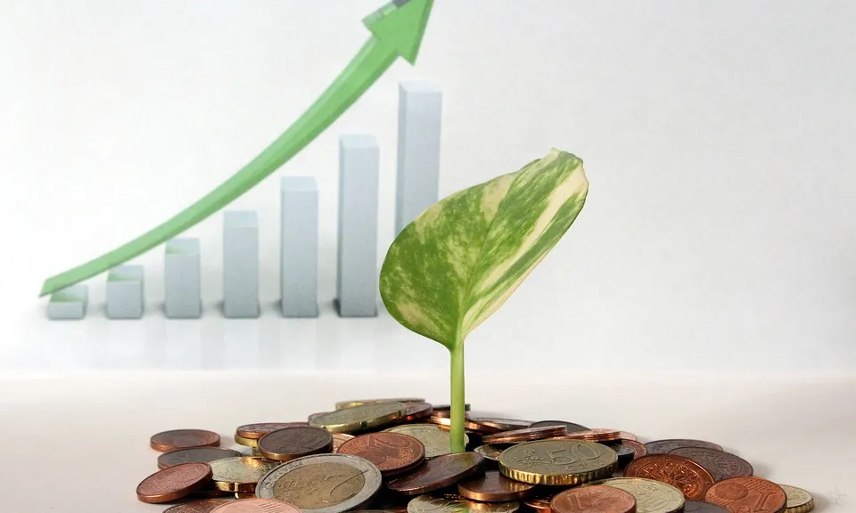 El programa pretén millorar l'autonomia financera de les associacions - Foto: MaxPixel