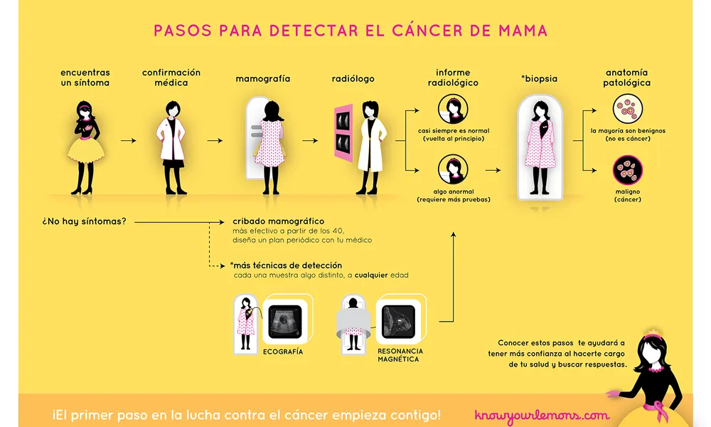 Guia sobre com hem d'actuar per tal de prevenir el càncer de mama. (Font: worldwidebreastcancer.org)
