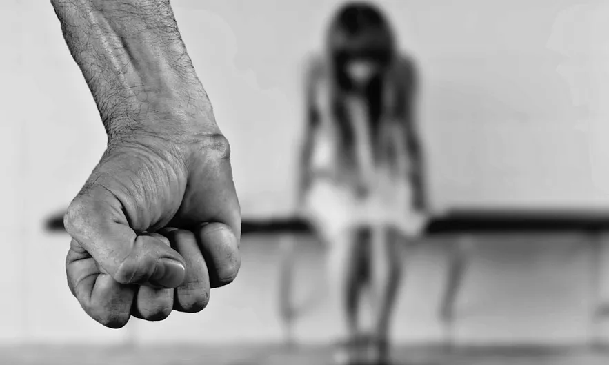 Les línies d'actuació de l'òrgan es centraran en la violència masclista, la situació laboral i la imatge pública de la dona