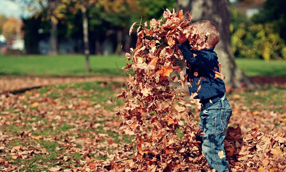 Children & nature network promou la connexió entre infància i natura