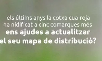 L'Associació Institut Català d'Ornitologia impulsa diversos projectes de voluntariat i ciència ciutadana