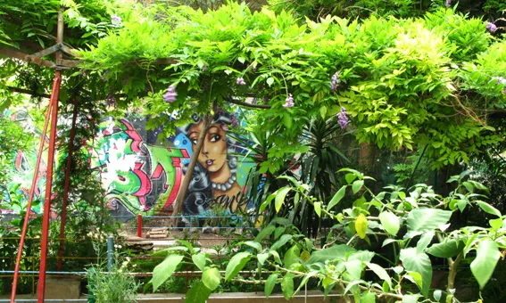 L'hort del Jardí del Silenci