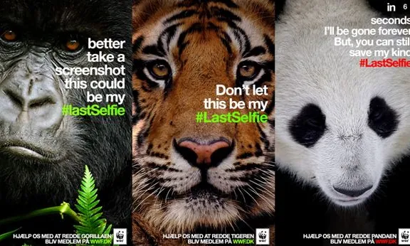 The #lastselfie, una campanya a les xarxes socials de WWF 