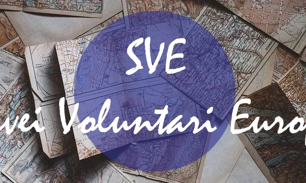 European Volunteer Service (EVS en anglès)