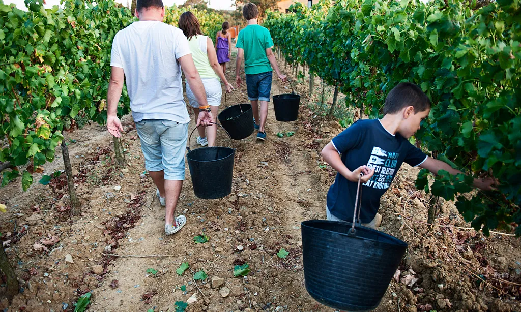 Veremant en família a La Vinyeta