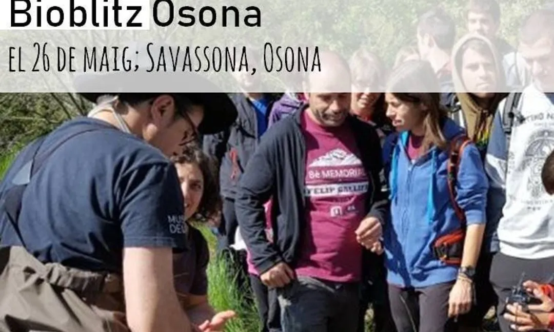 Es pot participar a activitats de descoberta, de conscienciació o de voluntariat ambiental 