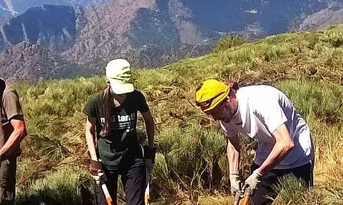 Voluntariat ambiental amb l'Associació Boscos de Muntanya per la Setmana de la Natura 