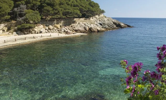 La Plataforma Salvem Aiguafreda neix per la protecció de la cala d'Aiguafreda