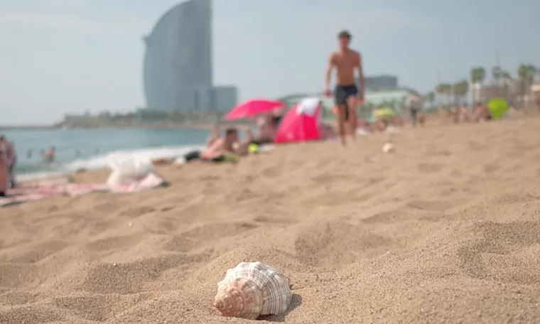 Els cargols de mar tenien un xip d’àudio amb històries gravades per donar veu a les persones refugiades.