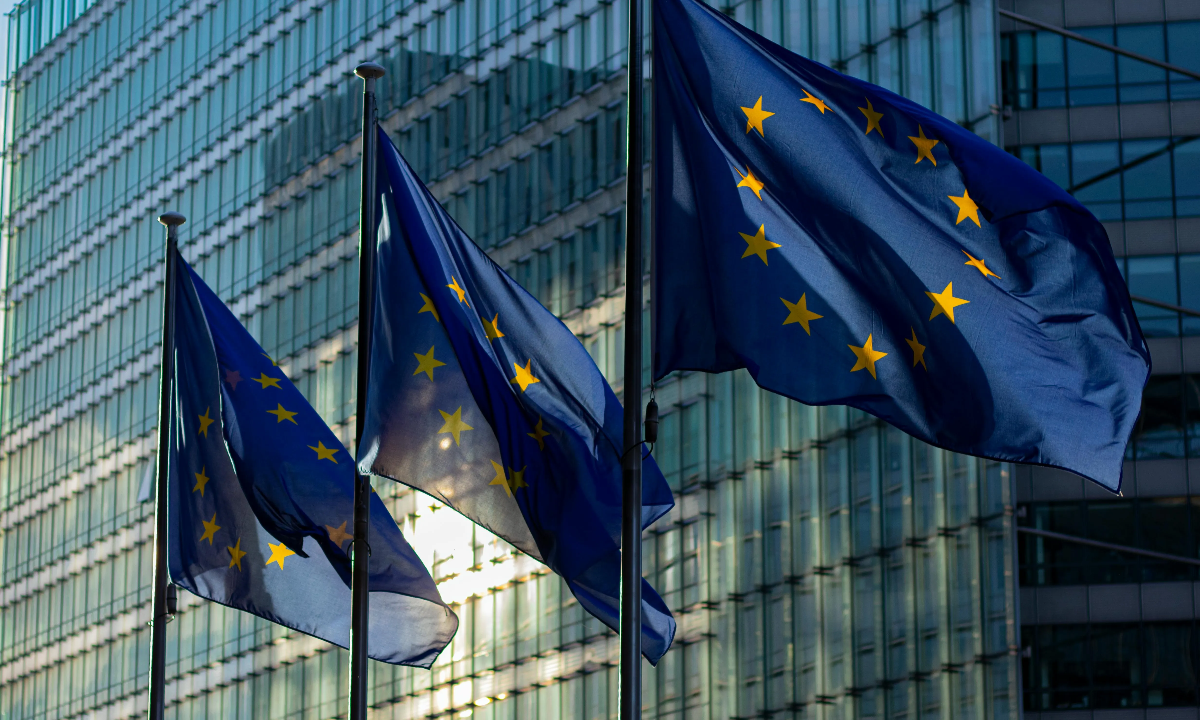 Comissió Europea. 