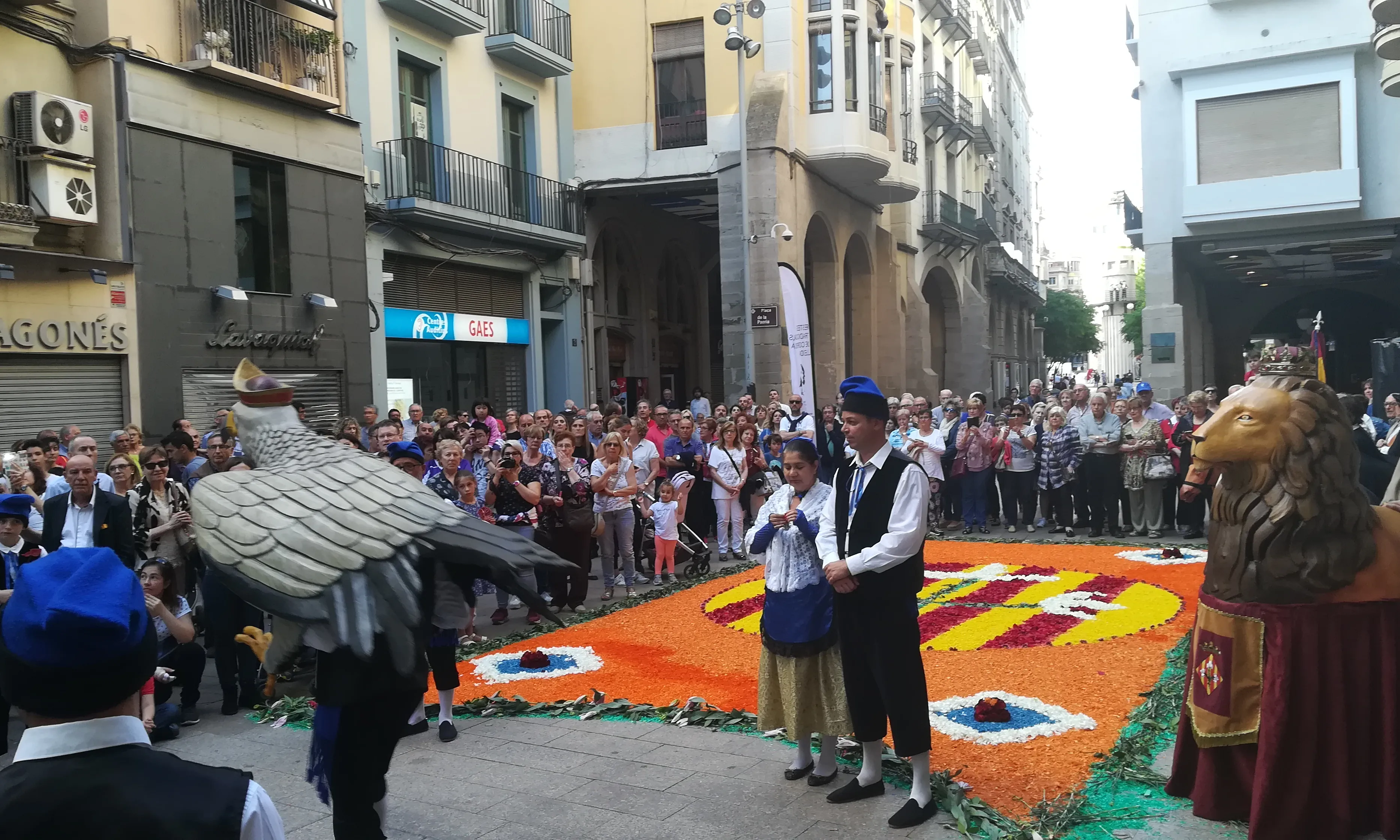 El ball de l'àliga, l'element més rellevant de la cultura popular i tradicional, amb les catifes de flors al darrere